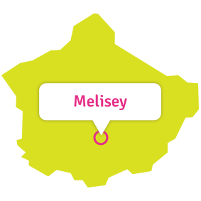 Carte du Canton de Melisey